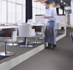 Forbo Marmoleum Decibel on Order 370335 comet фото 2 | FLOORDEALER